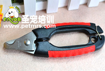 狗狗美容工具
