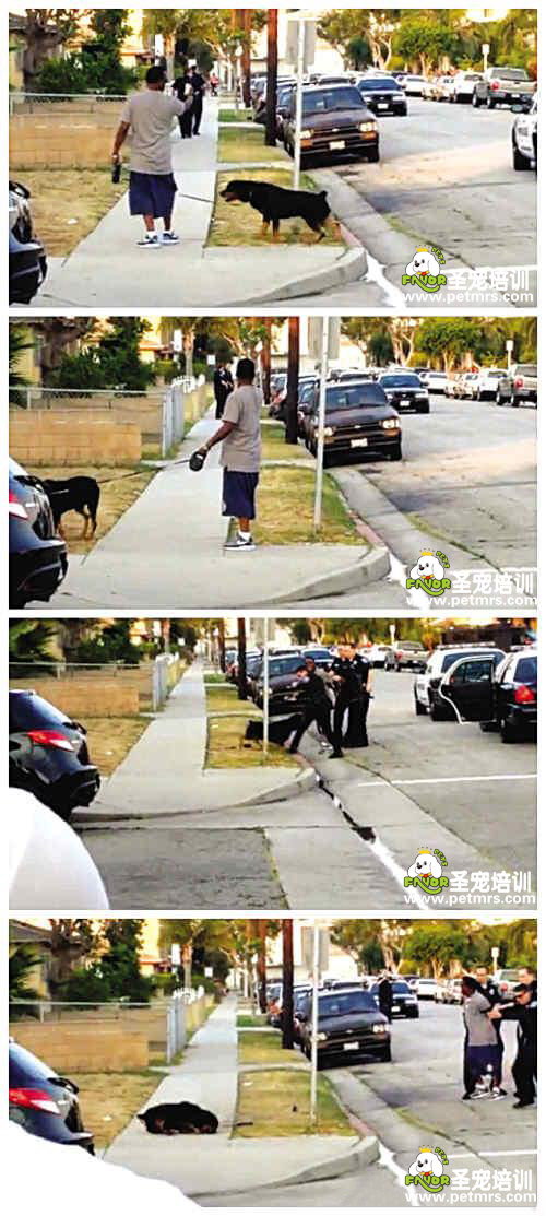 狗狗戶主遭警察射殺