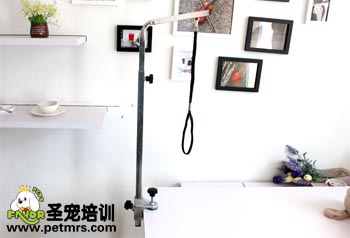 寵物美容支架套裝