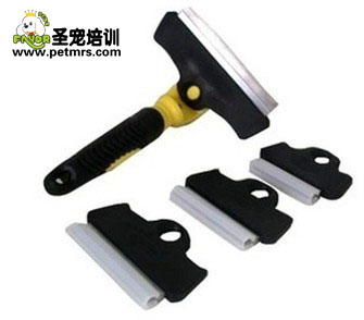 寵物美容工具