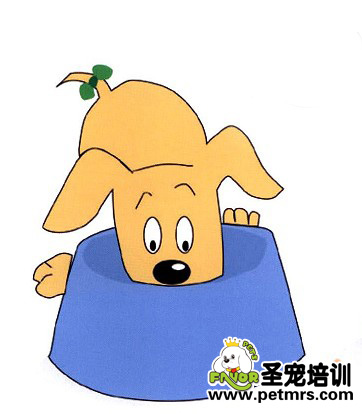 如何糾正狗狗護食的行為