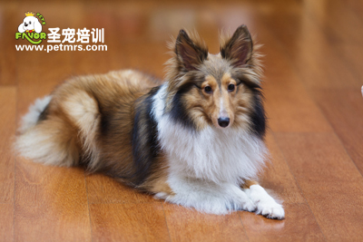 喜樂蒂美容