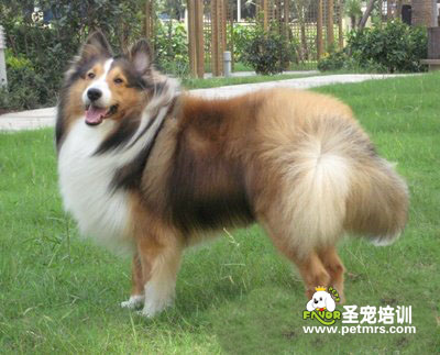 喜樂蒂美容