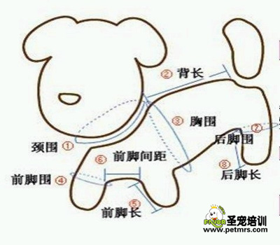 狗狗美容