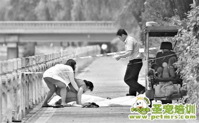 昨日，溺亡閆先生的親屬趕到現(xiàn)場(chǎng)。閆先生的三輪車上，兩只泰迪犬靜靜地臥著。