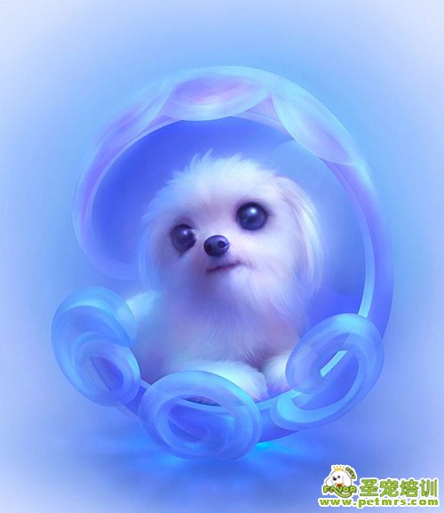 幼犬補充營養