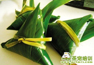 狗狗吃粽子