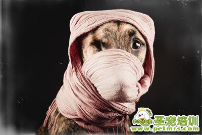 打劫啦