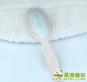 寵物美容