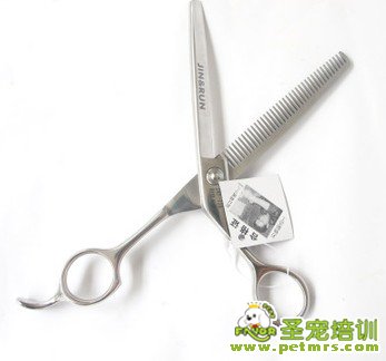 寵物美容