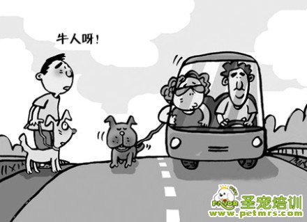 遛狗人的苦楚啊