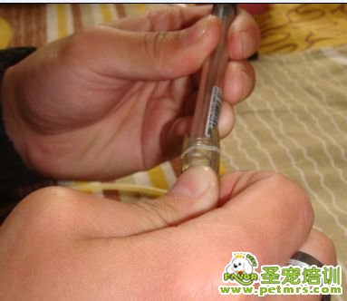 再把筆桿插進尾巴里，尾巴長度自己控制