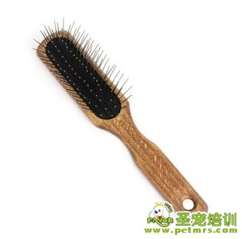 寵物美容用品