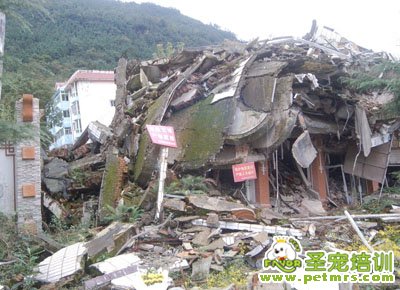 突發地震