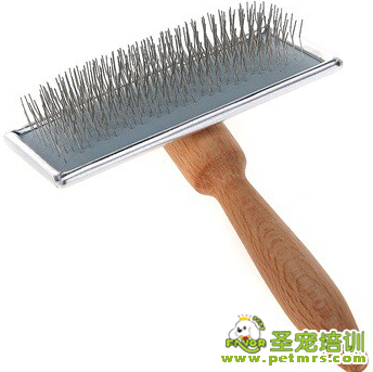寵物美容