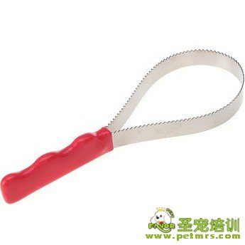 寵物美容