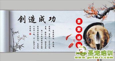 創(chuàng)造成功