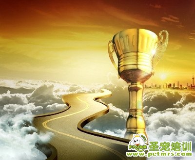 成功之路