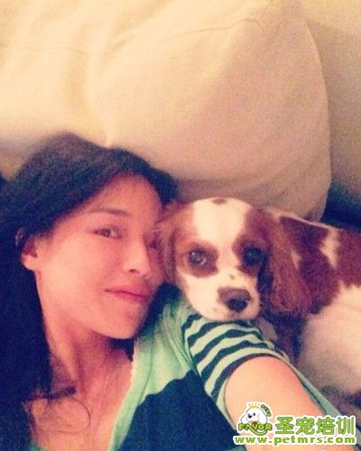 舒淇和愛犬照片