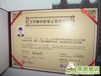美國AKC寵物協會認證證書