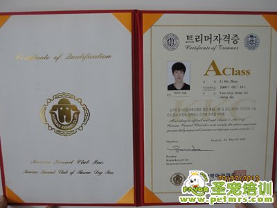 韓國KKF寵物協會證書