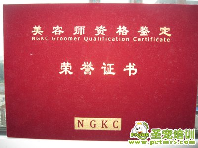 中國NGKC寵物協會認證證書