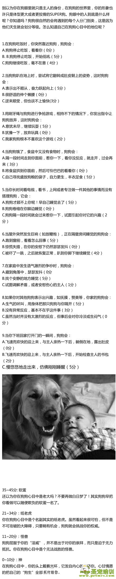 你在狗狗心中的地位