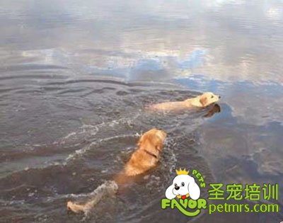 老婆來個鴛鴦浴吧