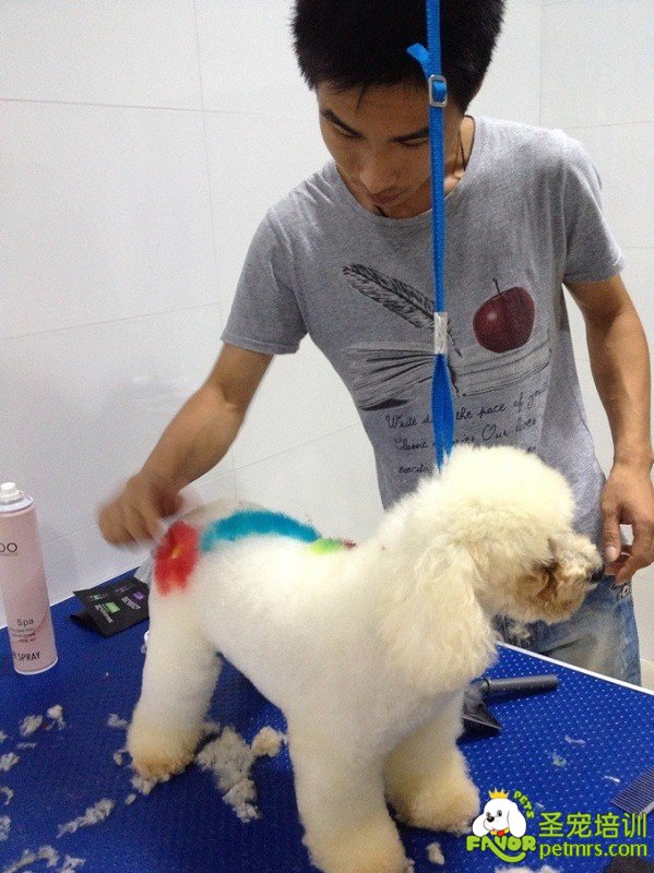 狗狗