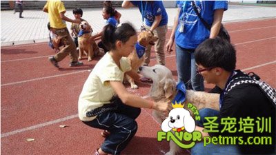 狗教授