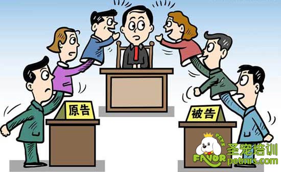 寵物官司