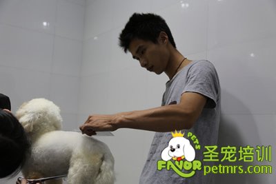 圣寵李博昭老師實(shí)操課指導(dǎo)學(xué)生