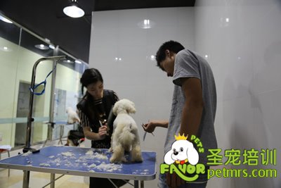 圣寵李博昭老師實(shí)操課指導(dǎo)學(xué)生