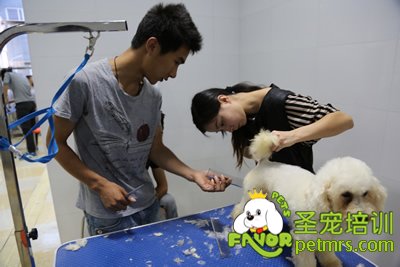 圣寵李博昭老師輔導(dǎo)課指導(dǎo)學(xué)生