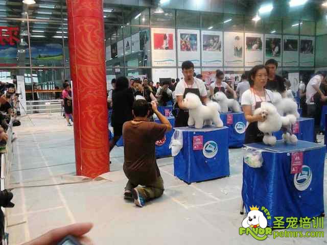 2013年第五屆NGKC鑒定大賽比賽現場
