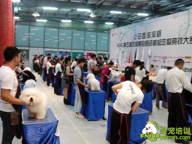 2013年第五屆NGKC鑒定大賽比賽現場