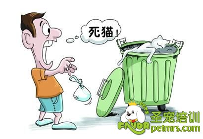 寵物死后尸體怎能一扔了之