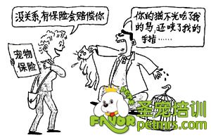 寵物保險