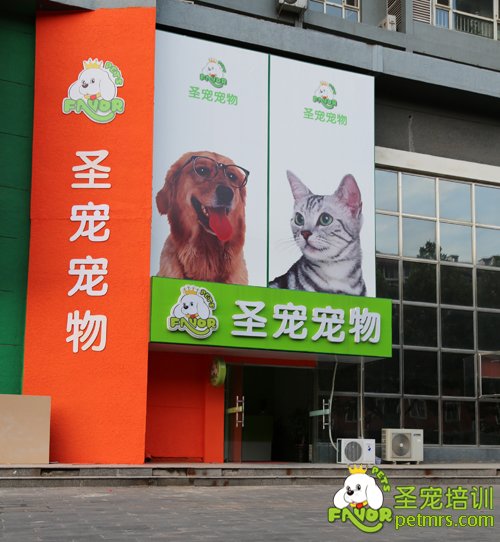 圣寵寵物美容學校