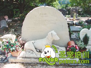 狗狗墓地