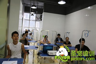 圣寵學(xué)員們在認(rèn)真的聽課
