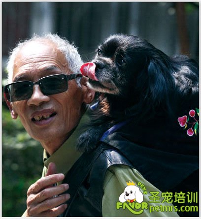 18年間，王鳳臣每天都會(huì)背著小乖散步