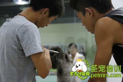 圣寵輔導課老師做示范