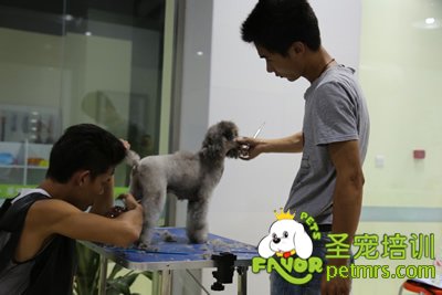圣寵實(shí)操課老師在旁指導(dǎo)