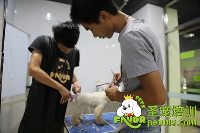 圣寵實操課老師指導學生動作
