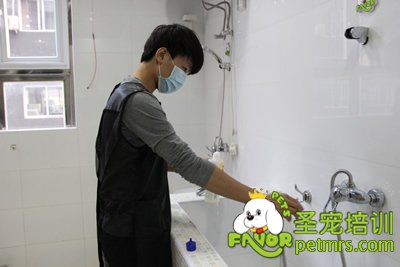 圣寵學(xué)員劉志明在給狗狗洗澡