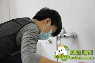圣寵學(xué)員劉志明在給狗狗洗澡