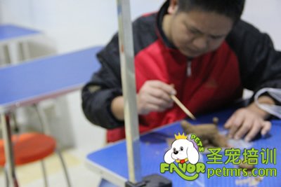 圣寵寵物陶藝課程