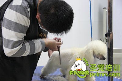 圣寵學(xué)員考試進(jìn)行中
