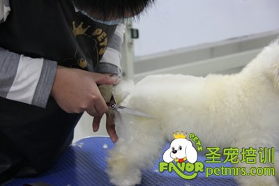 圣寵學(xué)員考試進(jìn)行中